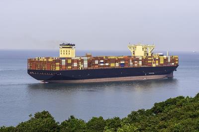国际海运公司MSC Elsa 3号集装箱落水后续（箱