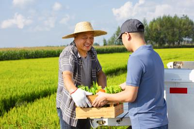 Freightos每周更新：跨太平洋运费在高峰后下