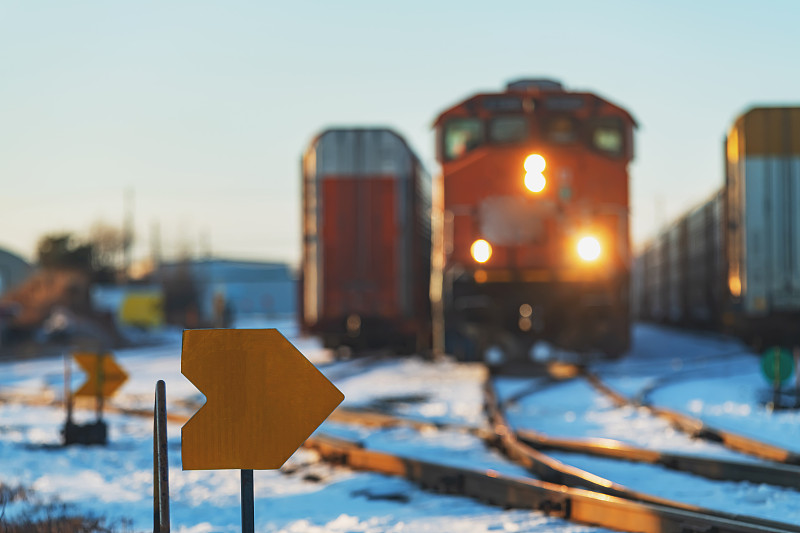 大蒜、生姜借用中国上海跨境物流快送到波兰