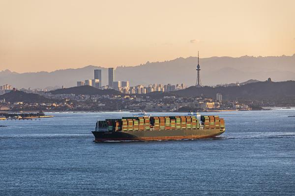河北省石家庄到美国-纽约生鲜冷链空运