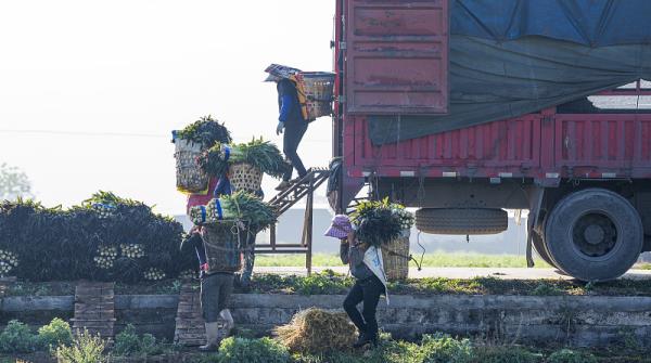 河北省石家庄到菲律宾客机腹舱带货