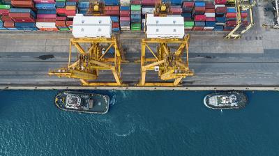 重庆姐妹物流有限公司相符概要