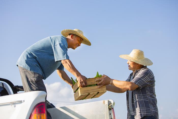 北美欧亚海外仓占比近九成，可穿戴市场出货量同比增长33.7%