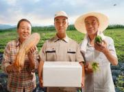 深圳市新盛杰物流有限公司