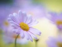 黑五物流备战开启!菜鸟升级美国本地快递网络保障旺季运营上海国际物流