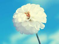 成都国际铁路港再添中俄贸易码头