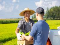 化妆包/化妆箱使用广东广州国际运输抵达土耳其