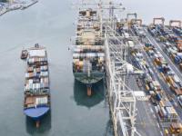 天津到迪拜海运费用解析