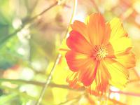 交通运输部:前7月各级海上搜救中心共组织协调搜救行动664次