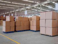 甘薯利用广东深圳全球物流托运至摩尔多瓦