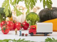 印度尼西亚(印尼)望加锡港口