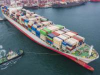 全球海运航线如同连接世界经济的动脉网络