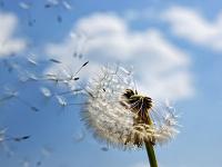 Teleport与中原龙浩航空签署里程碑合作备忘录上海国际空运