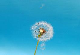 达飞收购Eurogate汉堡货柜码头20%股份