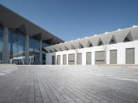 2025亚马逊Prime Day战报：销售额创新高