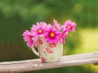 美国宣布征收“100%关税”!引发多国强烈反对!