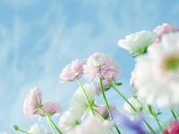 科珀斯克里斯蒂港:8月原油出口下降2%